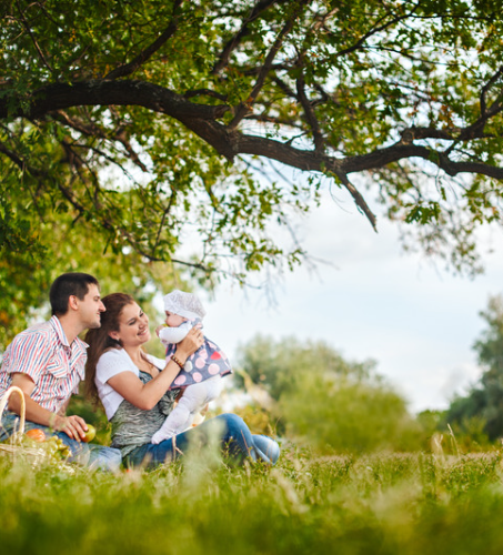 Entrada parcela Familia 453x600